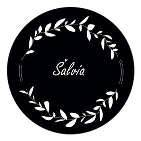 Šalvia